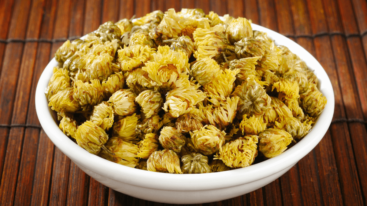 Chrysanthemum