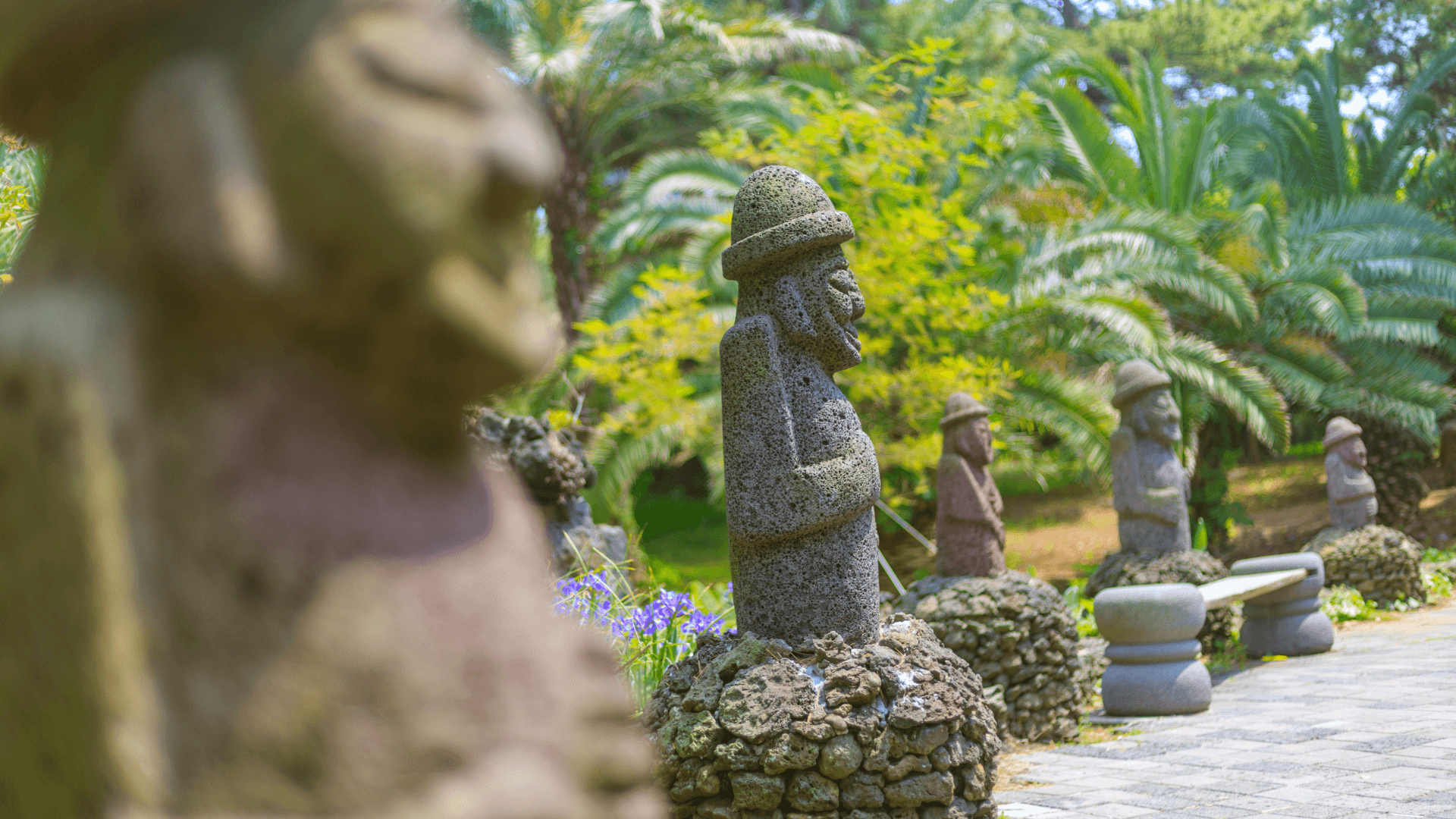 A Visitor’s Guide to the Osulloc Tea Plantation on Jeju Island