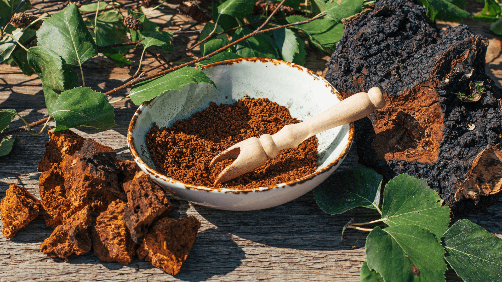 Mushroom Tea for Beginners: Easy, Tasty Recipes for Energy & Focus