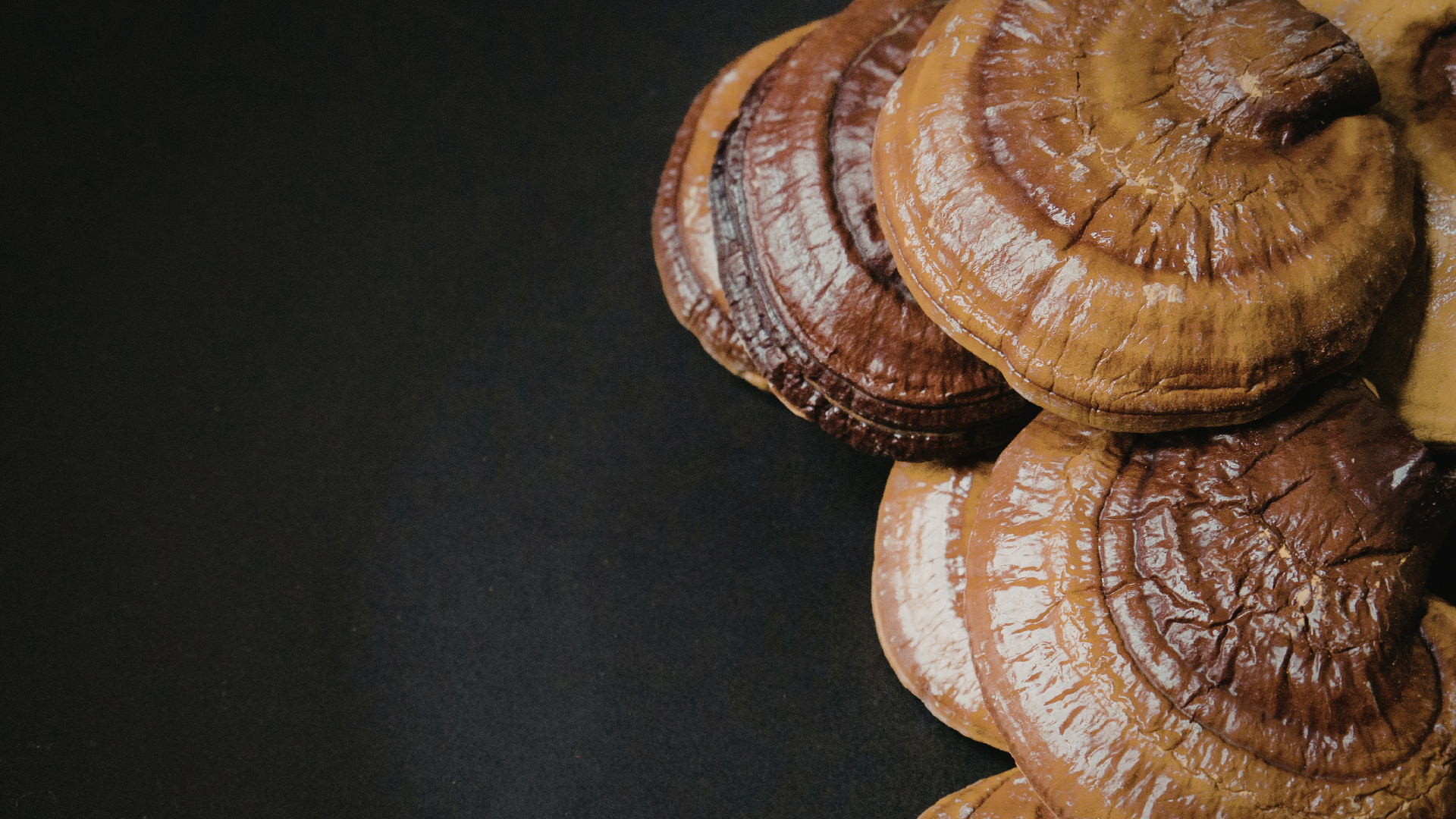 Adaptogenic Teas Explained: Do They Really Work?